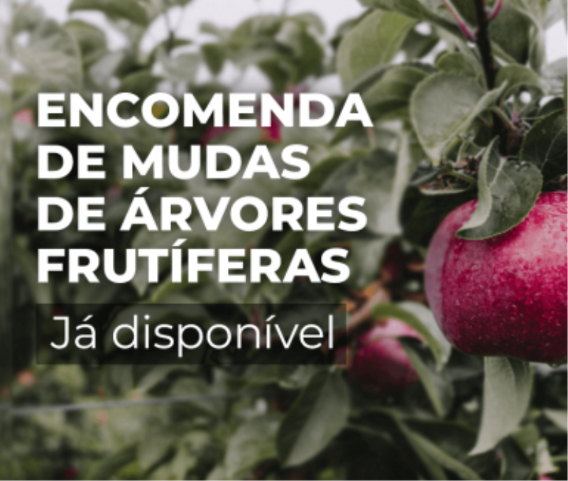 ABERTO PEDIDO PARA MUDAS DE ÁRVORES FRUTÍFERAS